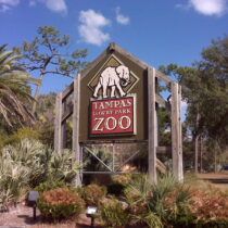 Zoo Tampa